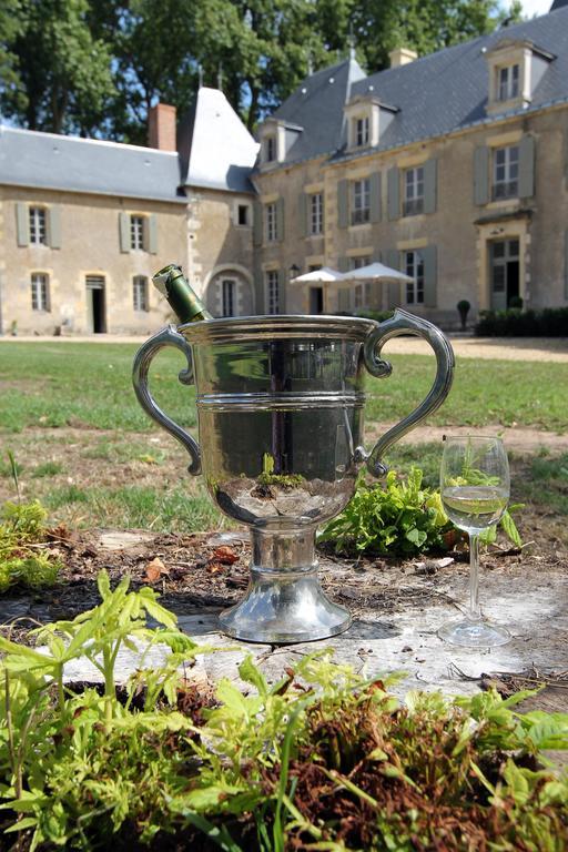 Chateau De Planchevienne Magny-Cours Exteriör bild